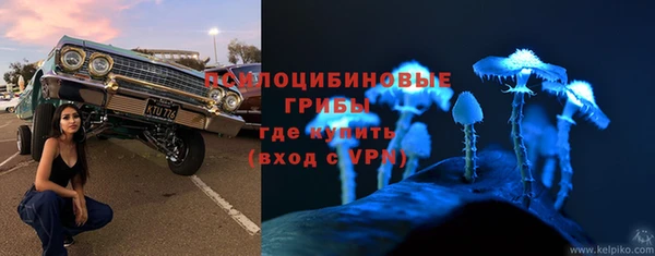 каннабис Лабытнанги