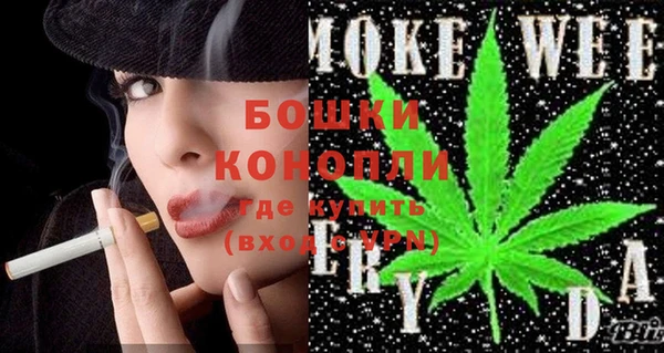 дживик Лагань