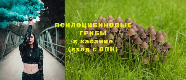 каннабис Лабытнанги